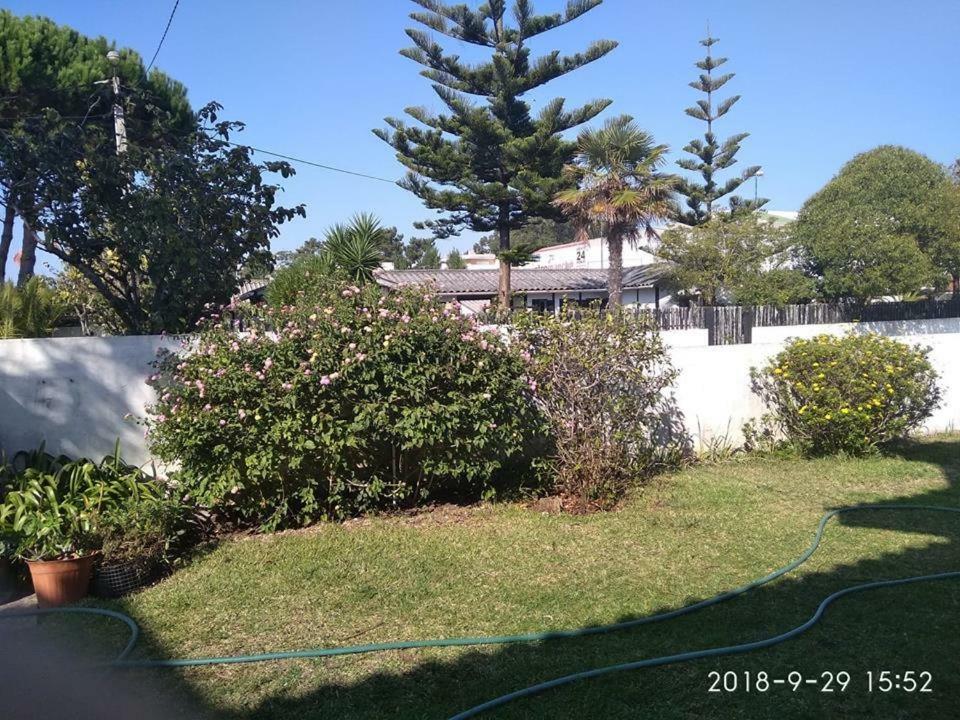 Casa Amarela Apartamento Esmoriz Exterior foto